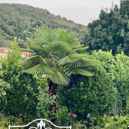 Quinta Das Flores Vale de Pradinhos Exterior photo