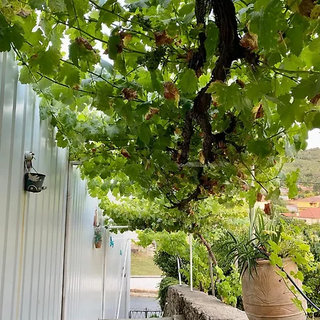 Quinta Das Flores Vale de Pradinhos Exterior photo