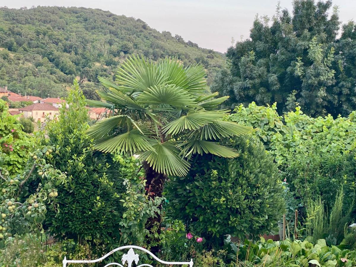 Quinta Flores Vale de Pradinhos