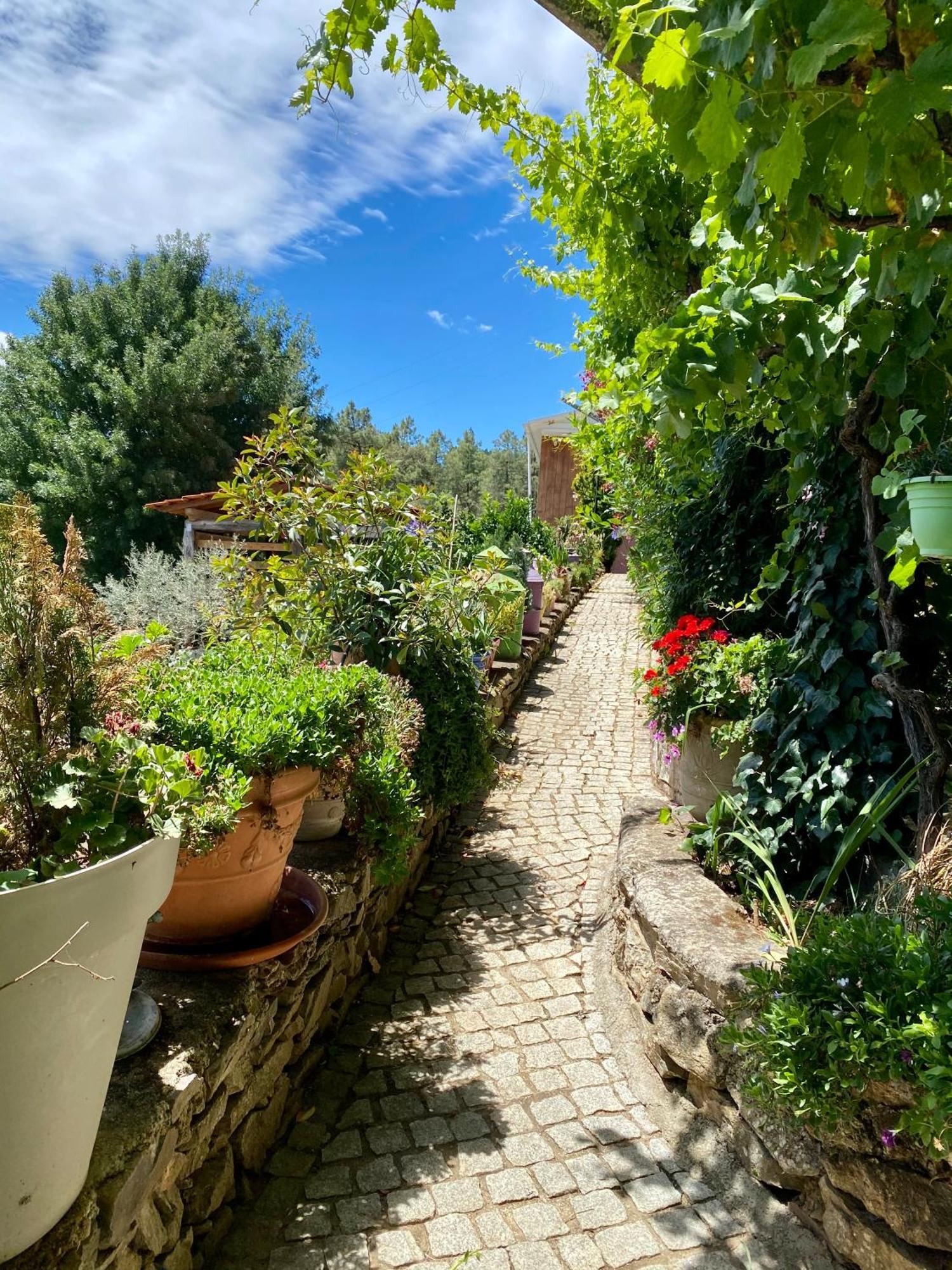 Quinta Flores