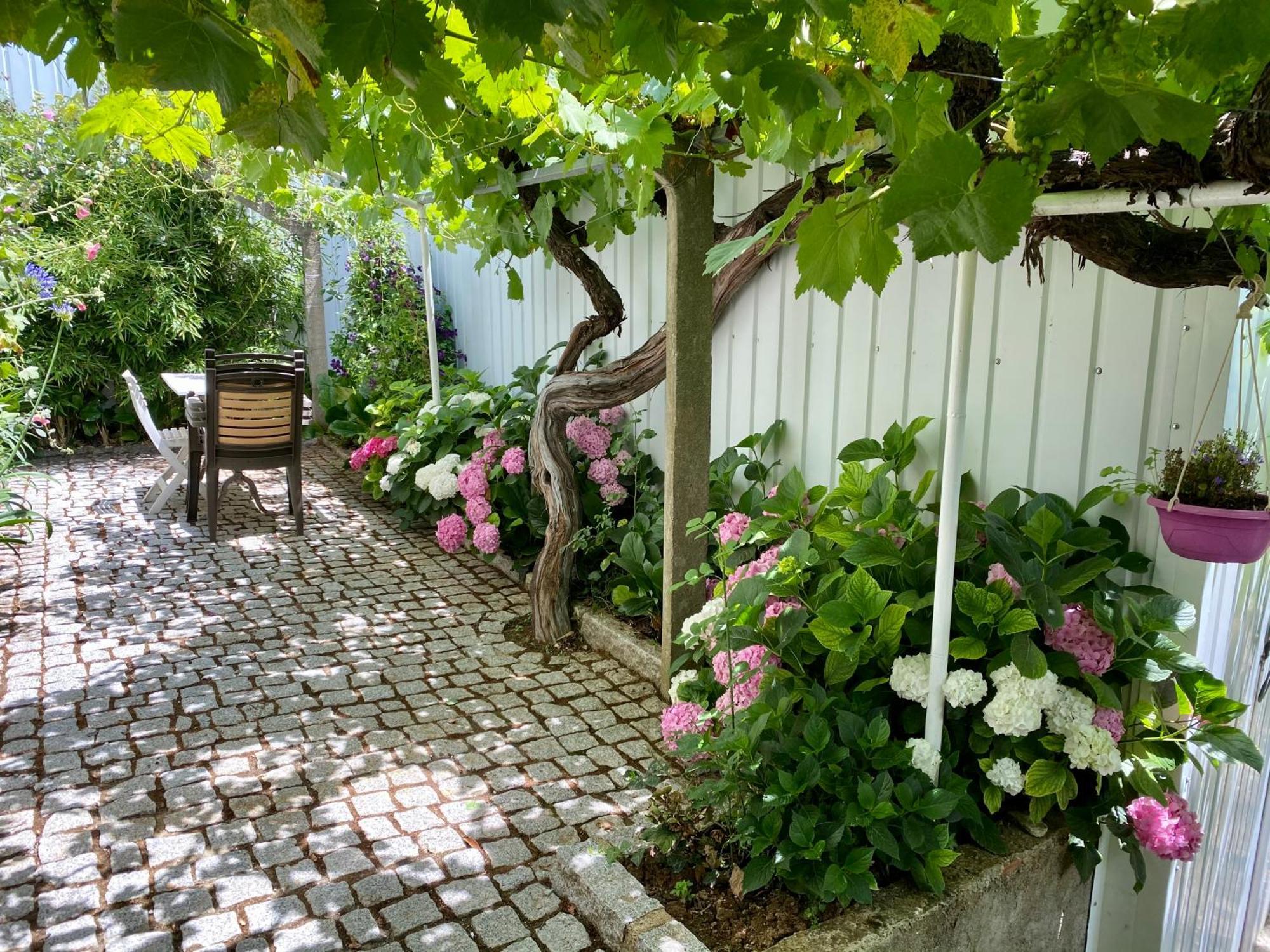Quinta Flores *