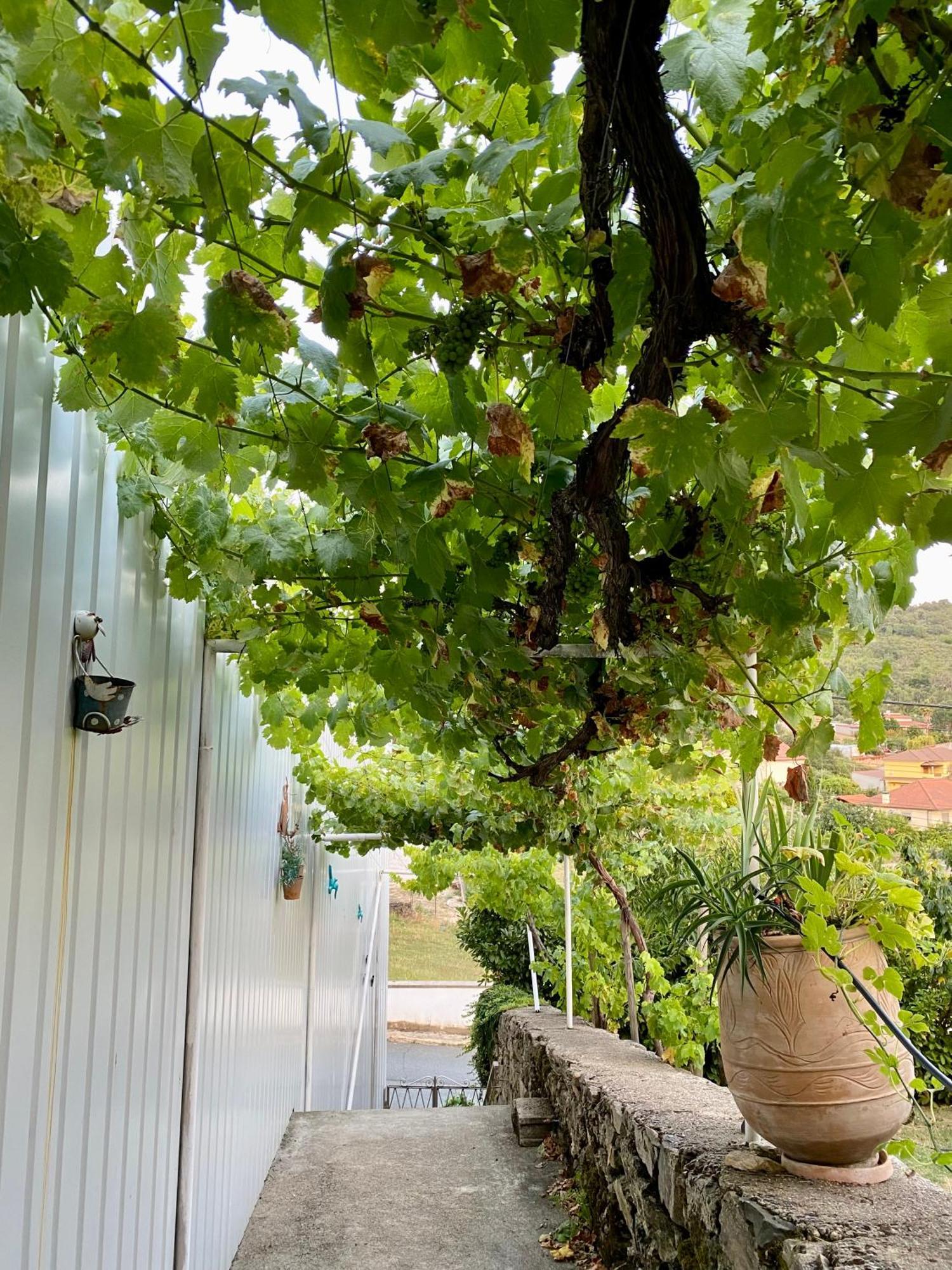 Quinta Flores Apartment Vale de Pradinhos