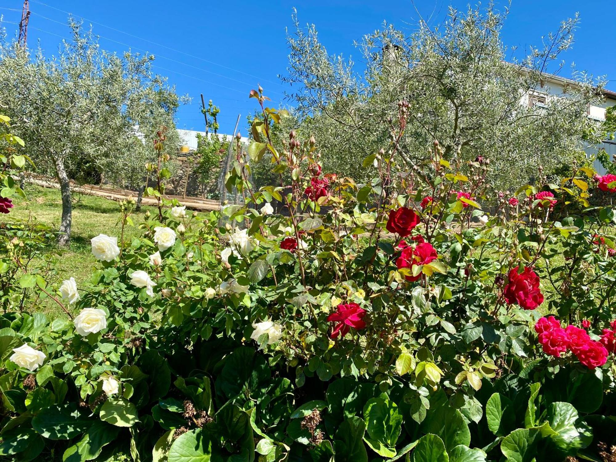Quinta Flores * Vale de Pradinhos